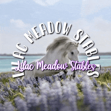 Meadow GIF