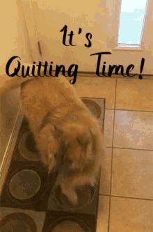 5pm Friday GIF - 5pm Friday Its Quitting Time GIFs