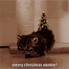 Merry Christmas Oomfie GIF - Merry Christmas Oomfie Cat GIFs
