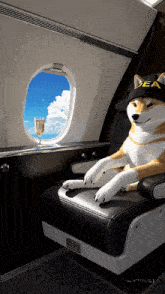 a dog wearing a hat that says dea sits in a chair