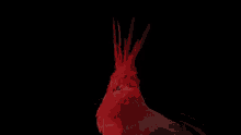 Bird Red GIF - Bird Red Looking GIFs