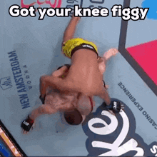 two men are fighting in a boxing ring with the words got your knee figgy above them