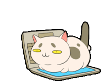 Wico Cat Cat Sticker - Wico Cat Cat Laptop Stickers