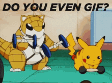 Do You Even Gif Pokemon GIF