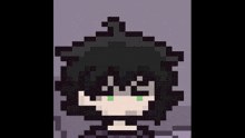 a pixel art of a person with black hair and green eyes .