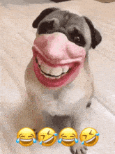 a pug dog is wearing a pink mask on its face and smiling .
