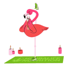 cocktail flamingo