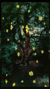 a painting of a tree with yellow flowers and the word chakra in the foreground