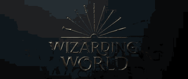 Wizarding World GIF - Wizarding World - Discover & Share GIFs