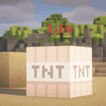 a block that says tnt on it in a minecraft world
