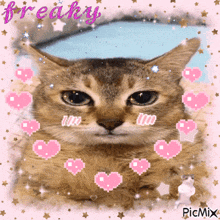 a picture of a cat with pink hearts and the word freaky on the bottom