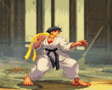 Makoto Street Fighter GIF