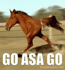 Asa Horse GIF - Asa Horse Boi What The Hell Boi GIFs