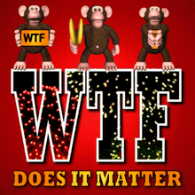three monkeys are holding a sign that says wtf