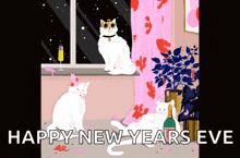 Cat Cat Lady GIF - Cat Cat Lady New Years Eve GIFs