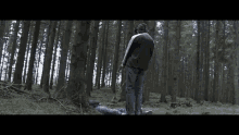 Forest Shooting GIF - Forest Shooting Pee GIFs