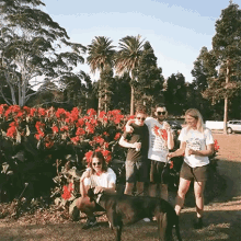 A Cool Band From Sydney Bachies GIF - A Cool Band From Sydney Bachies Bachelor Pad GIFs