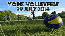 Volleyfest Volleyball GIF - Volleyfest Volleyball York GIFs
