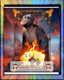 Crazy Monkey GIF - Crazy Monkey GIFs