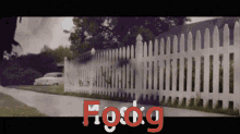 Mysko Foog GIF - Mysko Foog Agatha GIFs