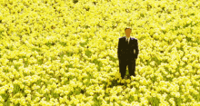 Daffodil GIF