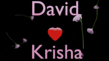 krisha david