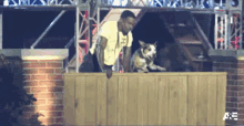 Jumping Over The Fence Americas Top Dog GIF