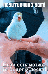 a person is holding a small white bird in their hand with russian writing on the bottom