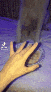 Shadowsofstorm Dog GIF - Shadowsofstorm Dog Middle Finger GIFs