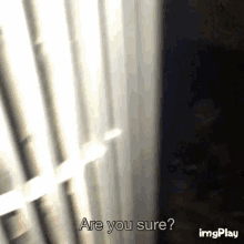 a blurry picture of a window with the words " are you sure " written on it