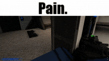 a screenshot of a video game that says pain on the top