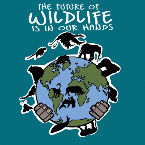 Wildlife Endangered GIF - Wildlife Endangered Endangered Species - Discover  & Share GIFs