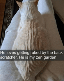 He Is My Zen Garden GIF - He Is My Zen Garden GIFs