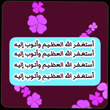 purple flowers are surrounded by arabic writing
