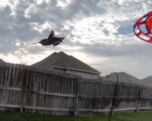 a hummingbird is flying over a wooden fence in a backyard