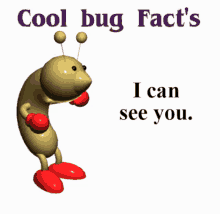 Cool Bug Facts I Can See You GIF - Cool Bug Facts I Can See You GIFs