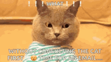 Cat Typing GIF - Cat Typing Time For Email GIFs