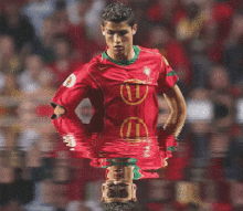 Ronaldo Pleure GIF