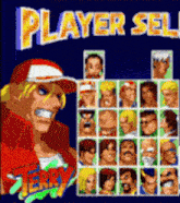 a poster for a video game called player select featuring terry