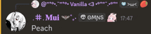 a screenshot of a chat with the name peach