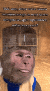 a monkey is standing in front of a fence with a caption in russian
