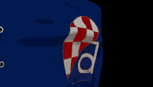 Dinamo Dinamo Zagreb GIF