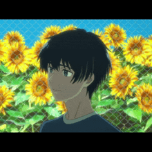 a boy stands in front of a field of sunflowers behind a chain link fence