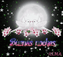 a buena noche greeting card with two birds