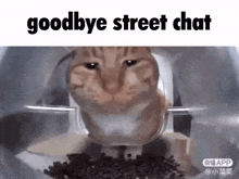 a cat is sitting in a bowl of food with the words `` goodbye street chat '' written on it .