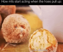 a dog is sitting next to a half eaten donut .