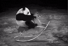 Yanlız Panda GIF - Yanlız Panda GIFs