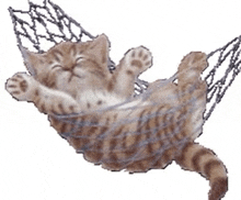 a kitten laying in a hammock with its eyes closed