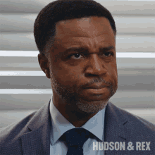 Nod Supt Joe Donovan GIF - Nod Supt Joe Donovan Hudson And Rex GIFs