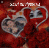 a blurred image of a heart with the words seni seviyorum
